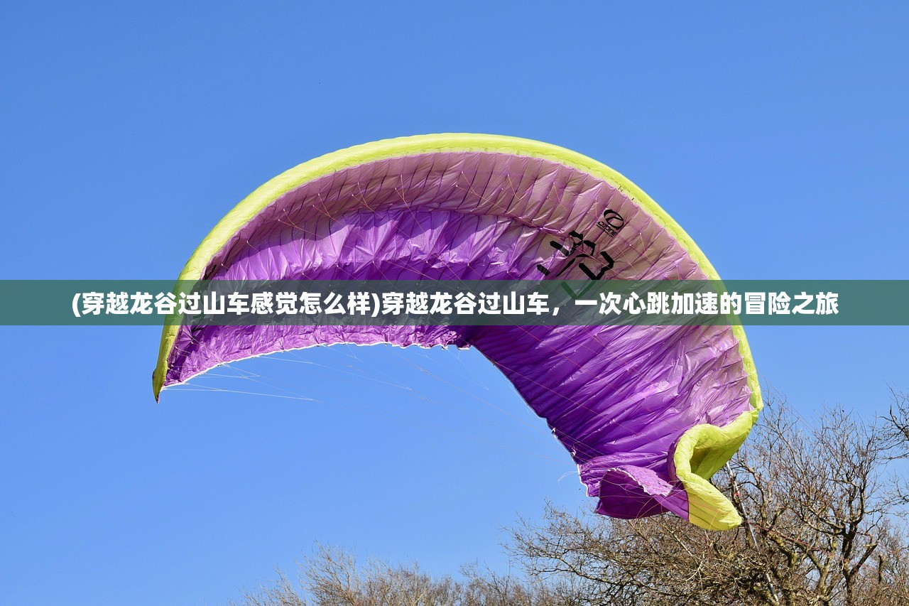 (穿越龙谷过山车感觉怎么样)穿越龙谷过山车，一次心跳加速的冒险之旅