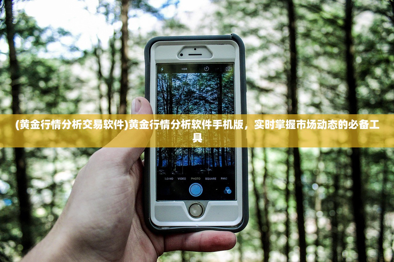 (黄金行情分析交易软件)黄金行情分析软件手机版，实时掌握市场动态的必备工具