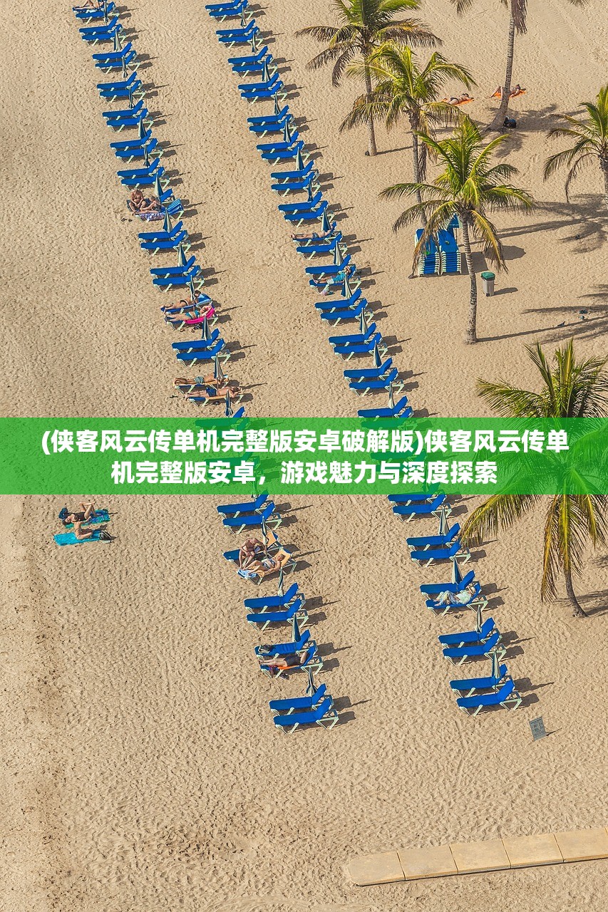 (侠客风云传单机完整版安卓破解版)侠客风云传单机完整版安卓，游戏魅力与深度探索