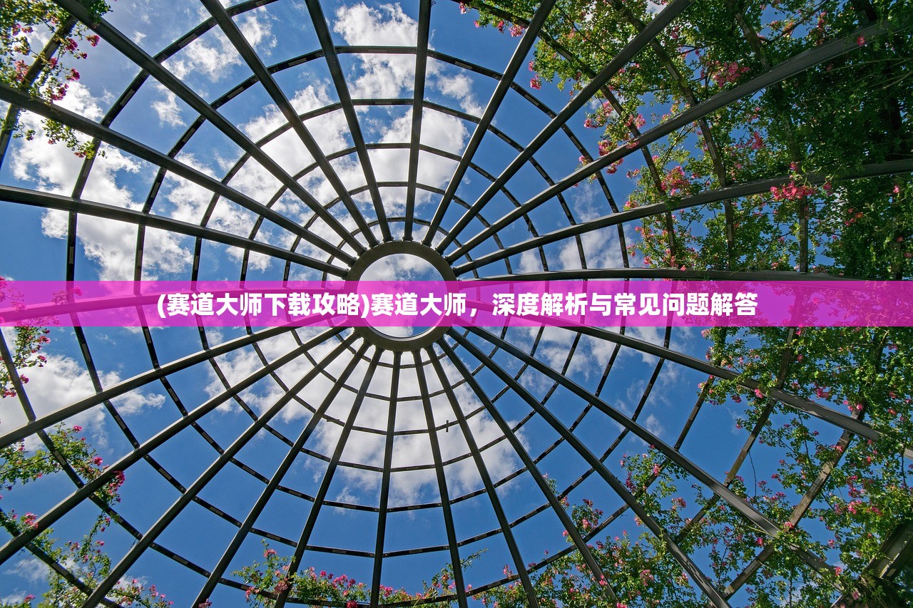(赛道大师下载攻略)赛道大师，深度解析与常见问题解答