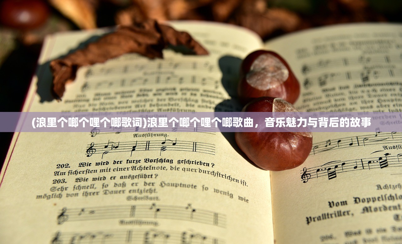 (浪里个啷个哩个啷歌词)浪里个啷个哩个啷歌曲，音乐魅力与背后的故事