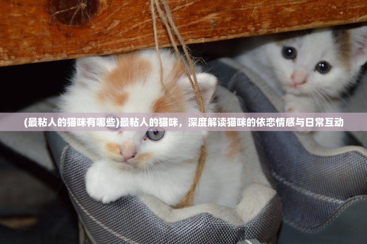 (橙光官居几品攻略所有试题答案)橙光游戏官居几品攻略大全及常见问题解答