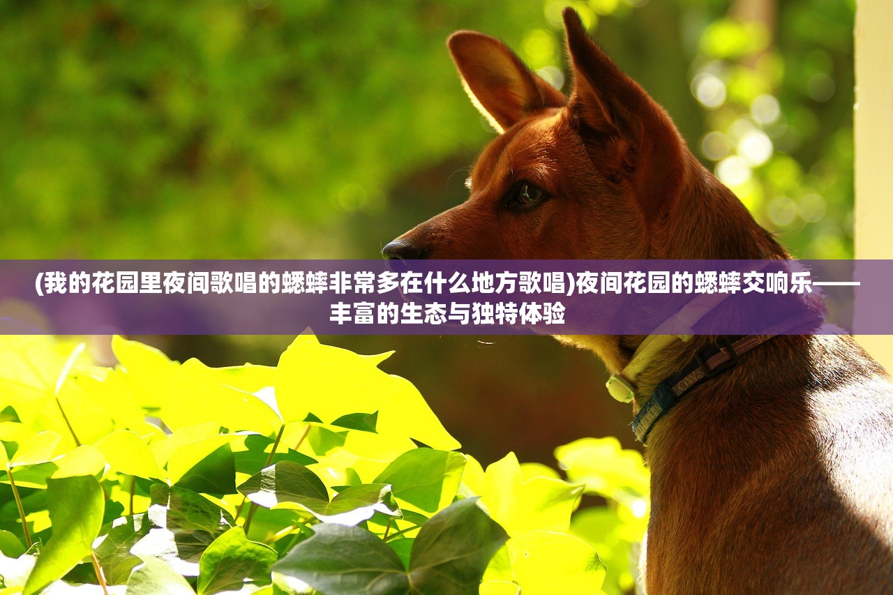 (我的花园里夜间歌唱的蟋蟀非常多在什么地方歌唱)夜间花园的蟋蟀交响乐——丰富的生态与独特体验