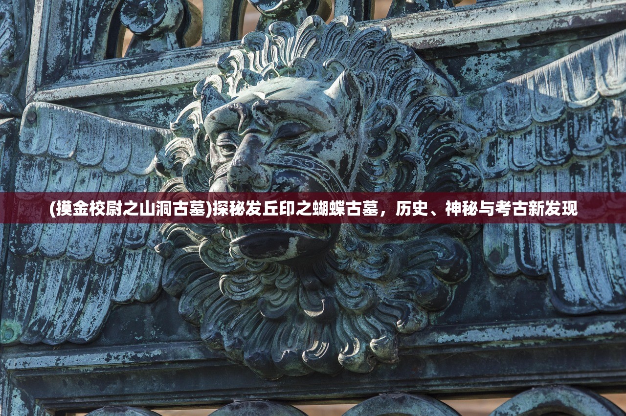 (摸金校尉之山洞古墓)探秘发丘印之蝴蝶古墓，历史、神秘与考古新发现