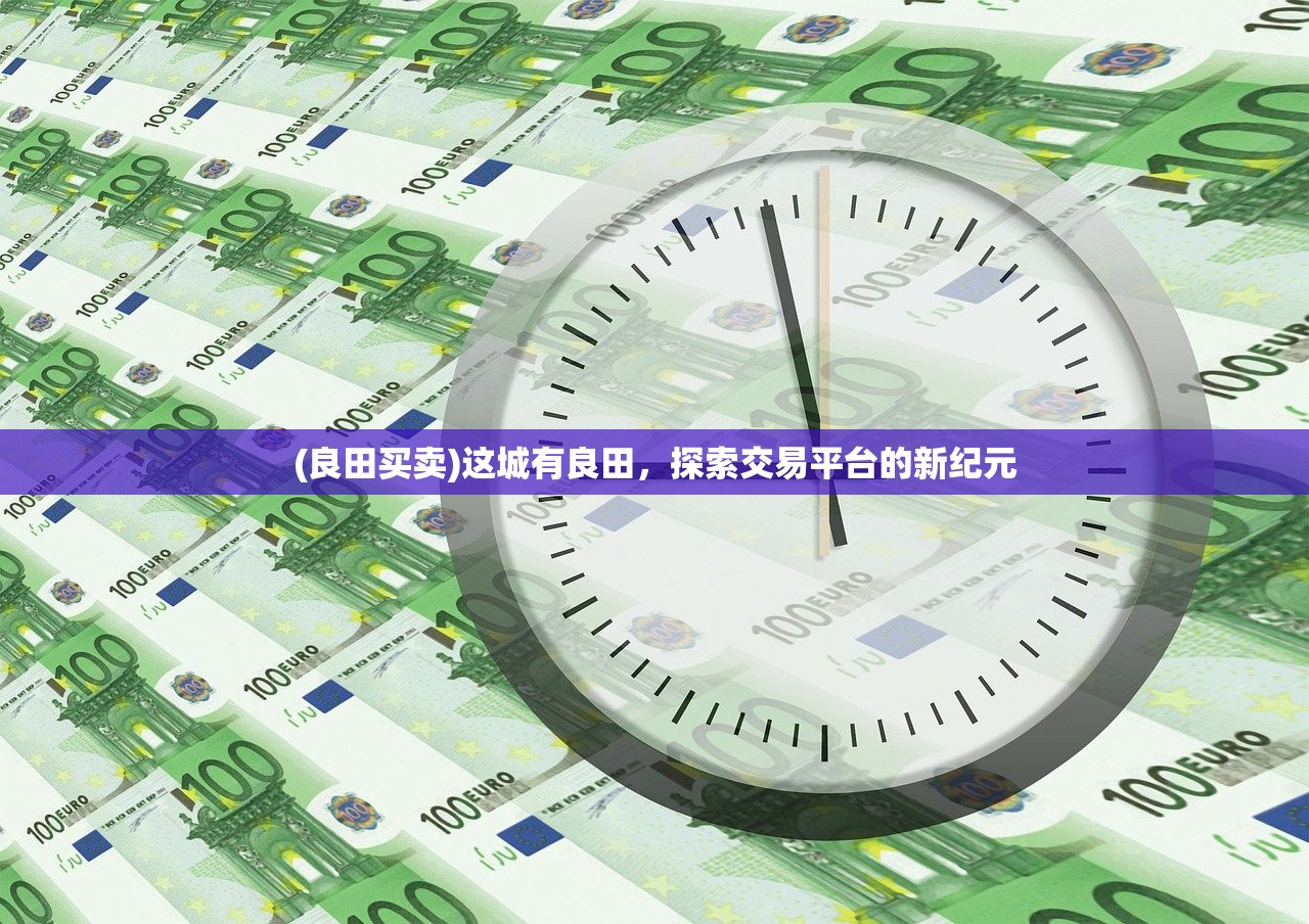 (良田买卖)这城有良田，探索交易平台的新纪元
