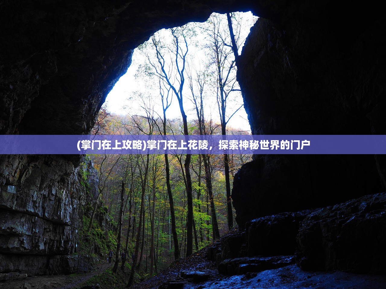 (掌门在上攻略)掌门在上花陵，探索神秘世界的门户
