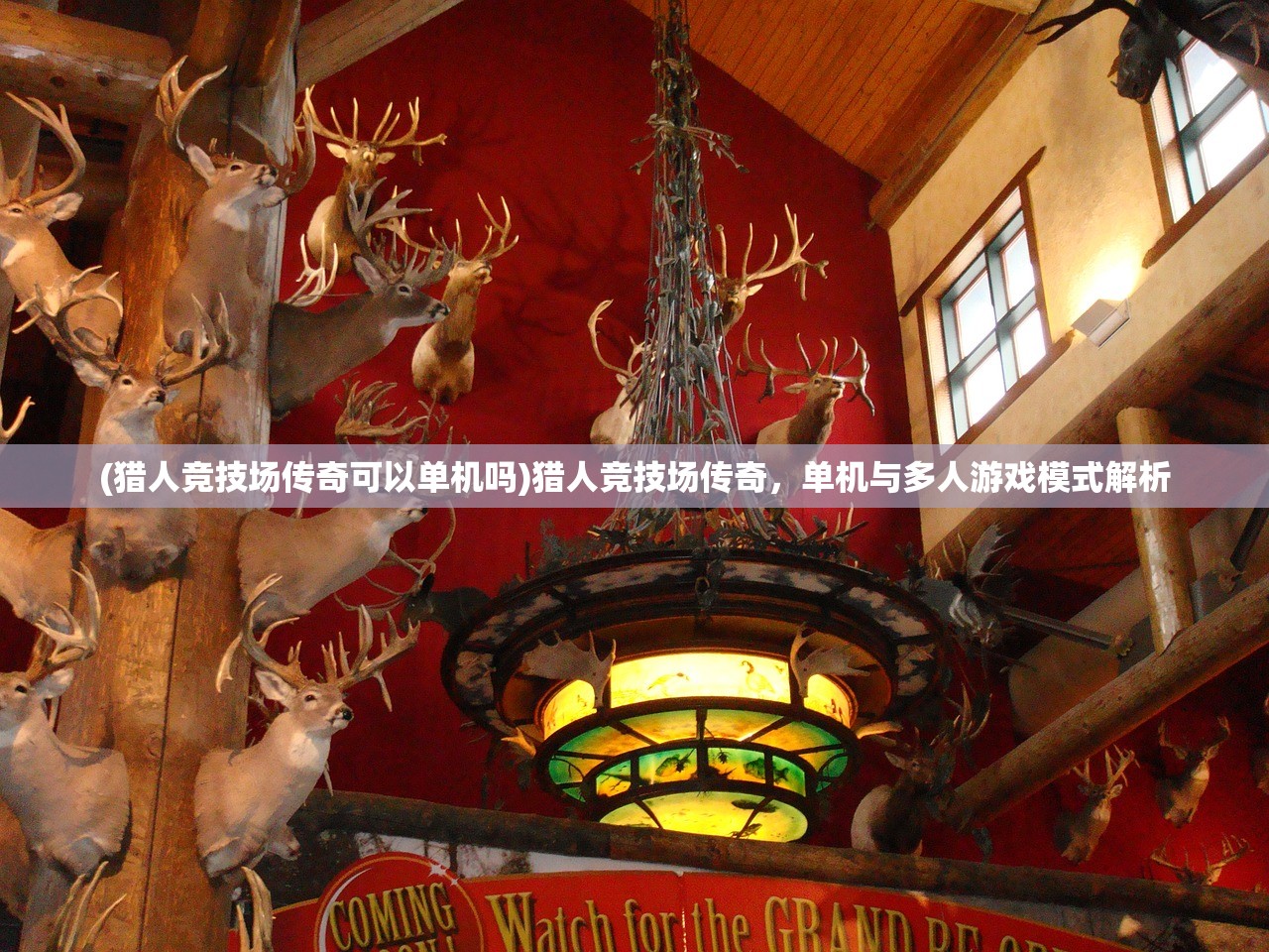 (猎人竞技场传奇可以单机吗)猎人竞技场传奇，单机与多人游戏模式解析