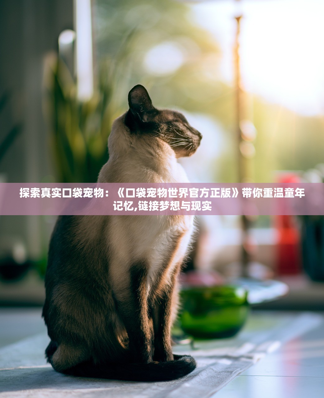 新澳门出今晚最准确一肖|经典理论的有效解读与应用_梦幻版IP.4.524