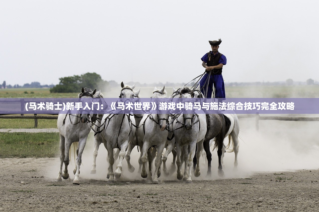 (马术骑士)新手入门：《马术世界》游戏中骑马与施法综合技巧完全攻略