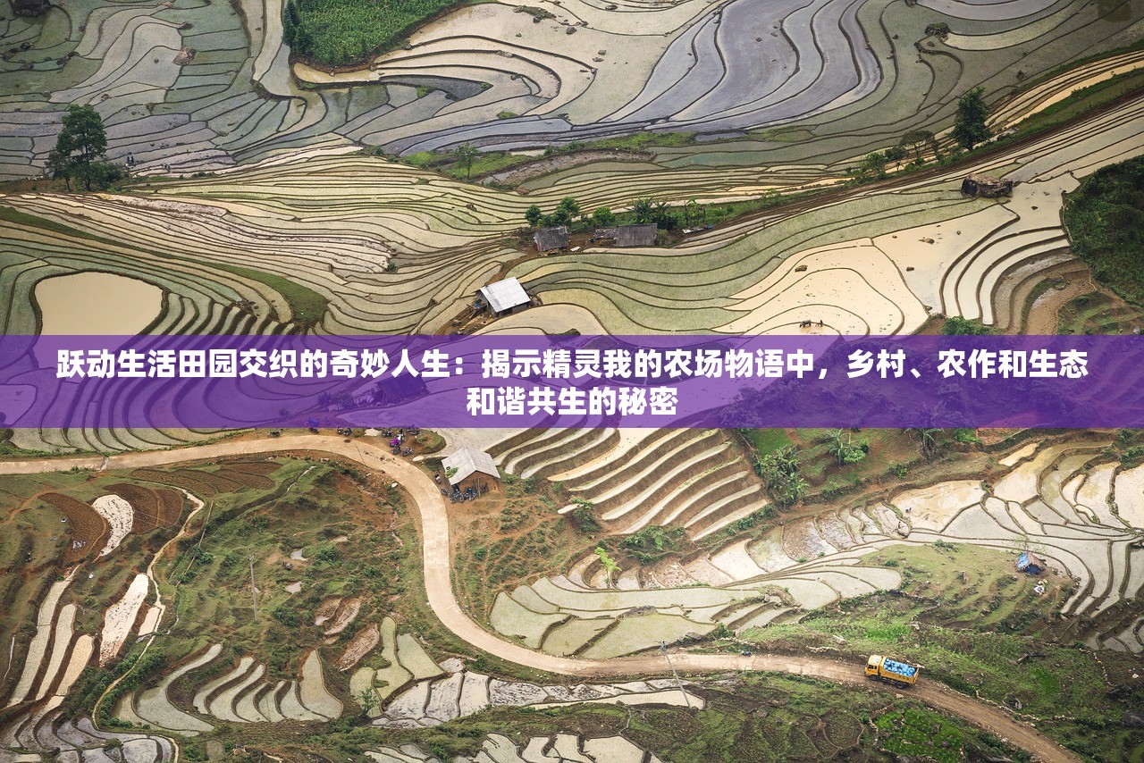 (暗金之躯最强阵容是什么)暗金之躯最强阵容，策略分析与独特视角
