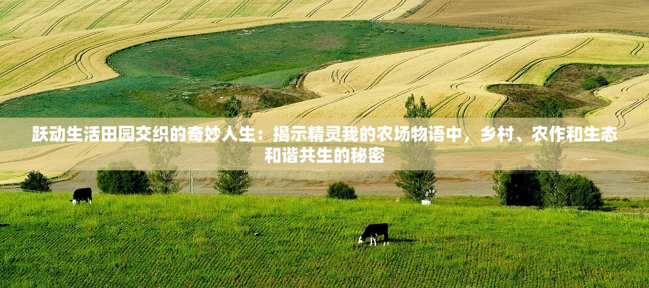 澳门最准真正最准龙门客栈|统计研究解释落实_网页版7.330
