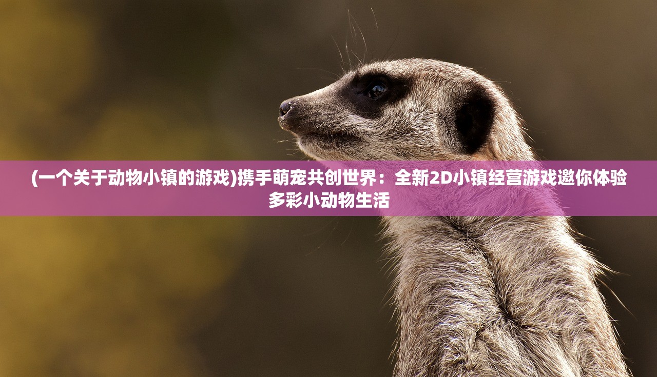 (报刊订阅表)电脑报订阅刊号，探索数字时代的资讯获取之道