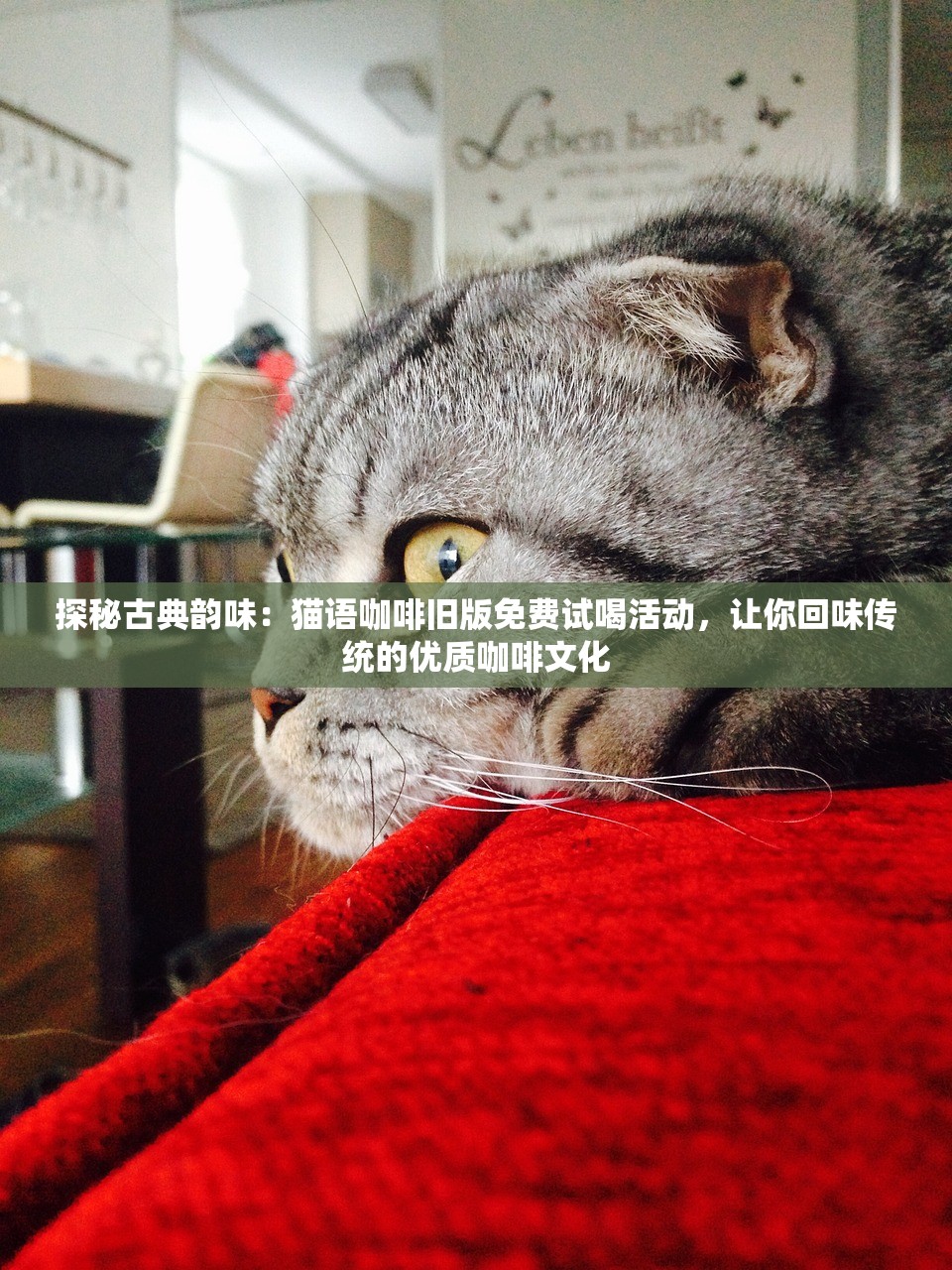(悟空修仙传红包版激活码)悟空修仙传红包版，全新体验，修仙之路红包助力