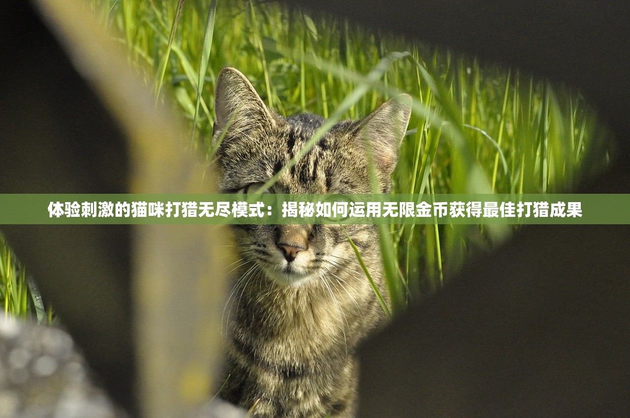 (乱斗三国志破解版下载)乱斗三国OL，深度解析与常见问题解答