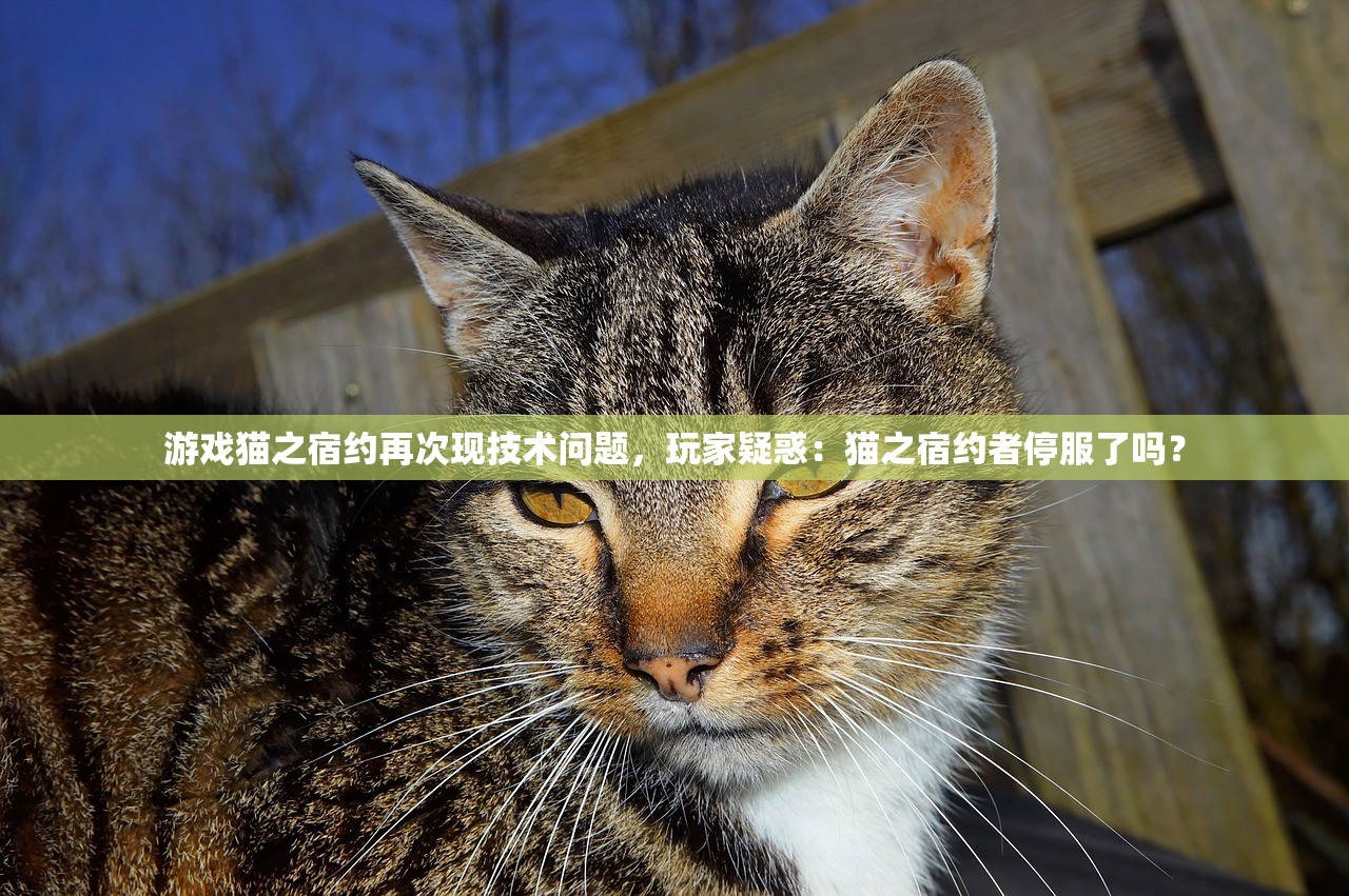 新澳资料正版免费资料|实际案例解释落实_实况款.1.24