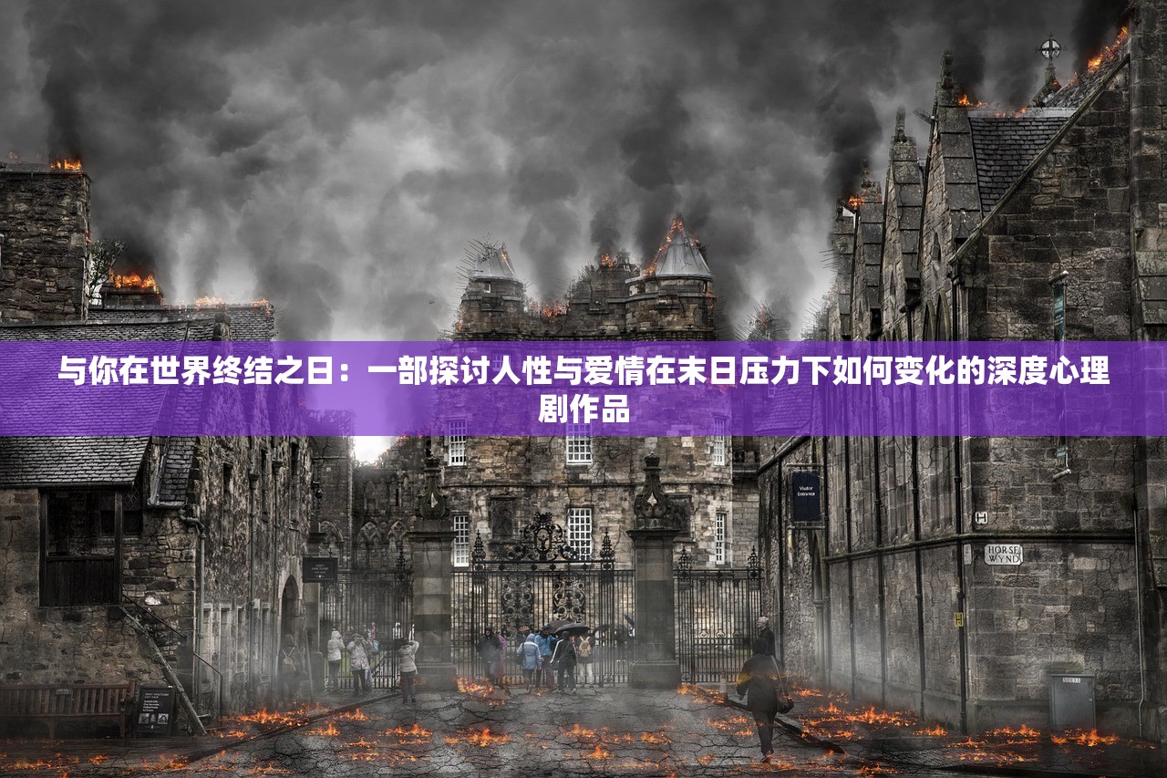 新奥门免费全年资料查询|发现未知世界的奇妙旅程_网红版Meituan.6.629