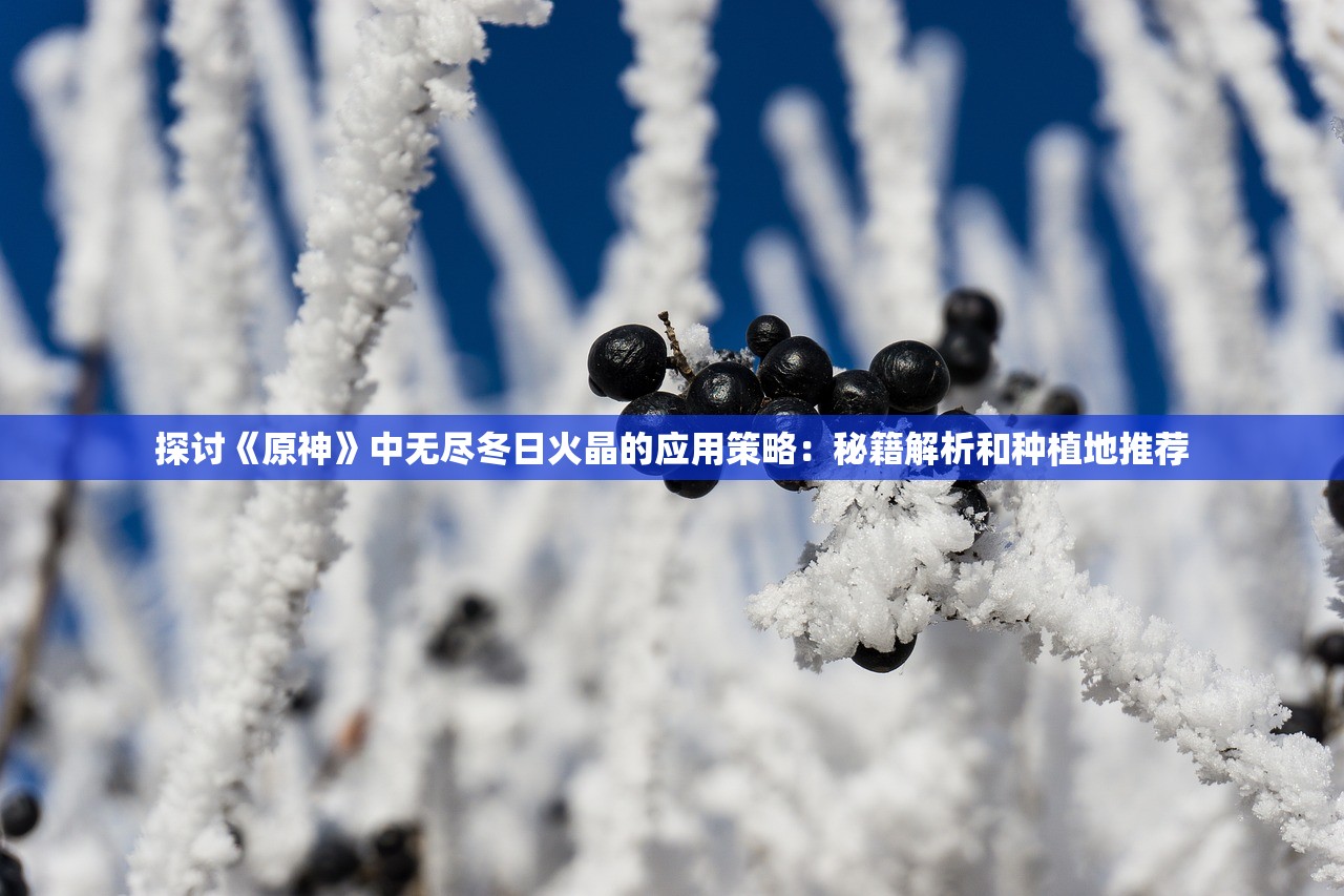 新澳天天开奖资料大全262期|系统研究解释落实_完美款.1.876