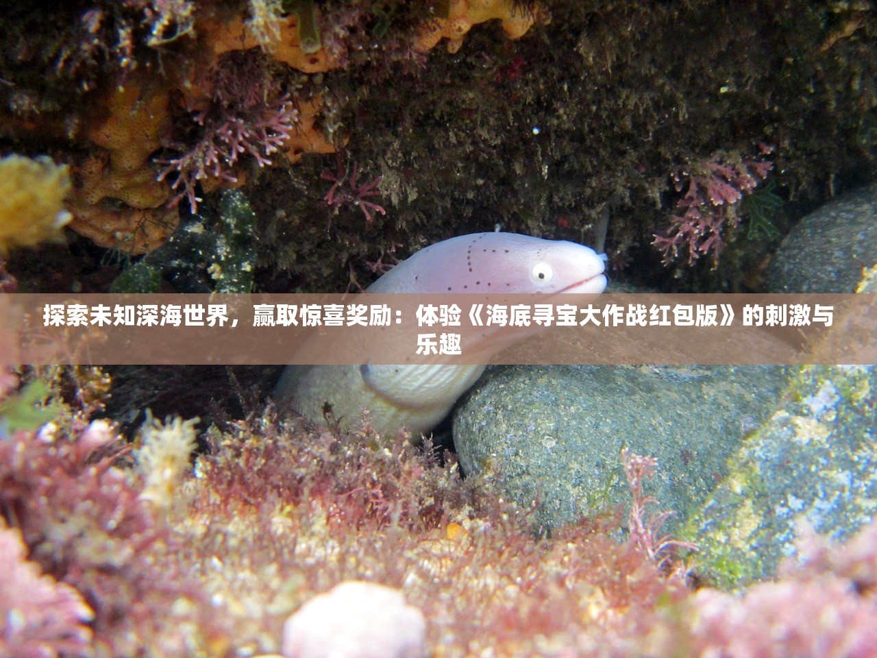 西游记合体技能使用教程：详解角色配合技巧，助力游戏攻略过关成功