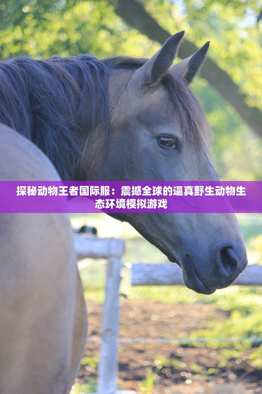 探索新篇章，王牌大侦探漫画第15卷：揭秘神秘犯罪组织的阴谋与对抗