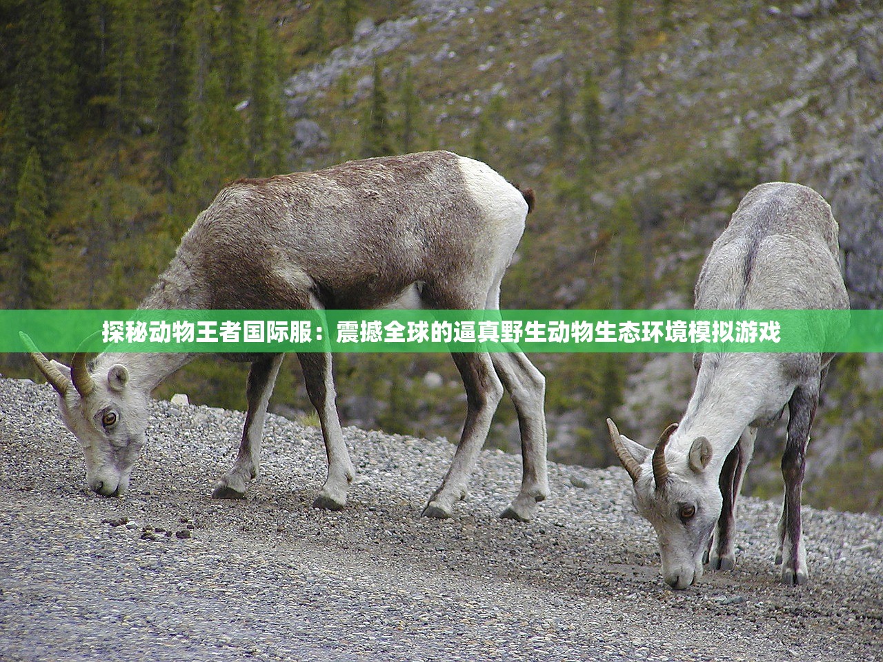 新澳天天开奖资料大全262期|系统研究解释落实_完美款.1.876