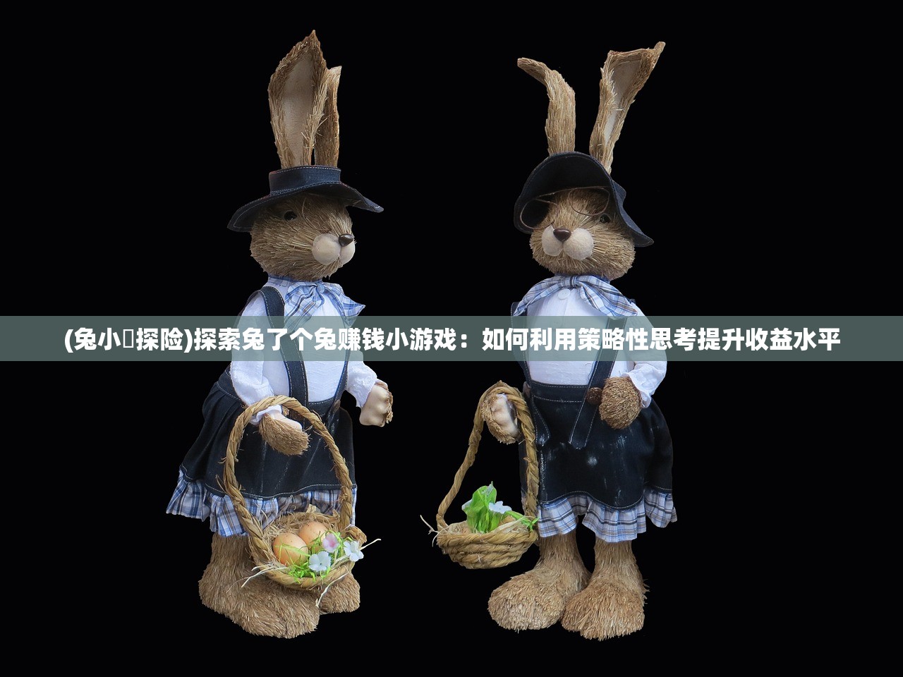 (皮宝宝进化成什么)皮宠的进化起源探究