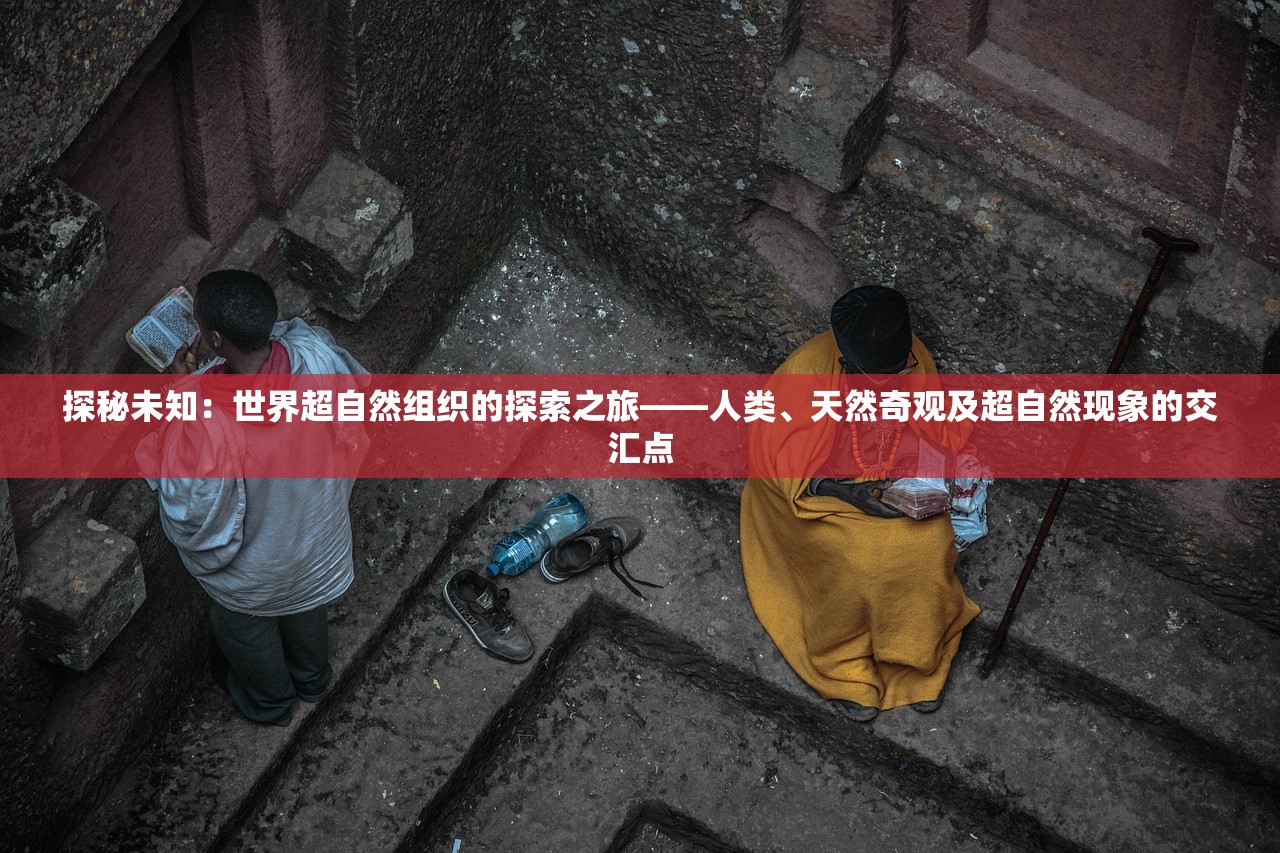 2024新澳免费资料大全浏览器|深度分析解释落实_习作版.2.594