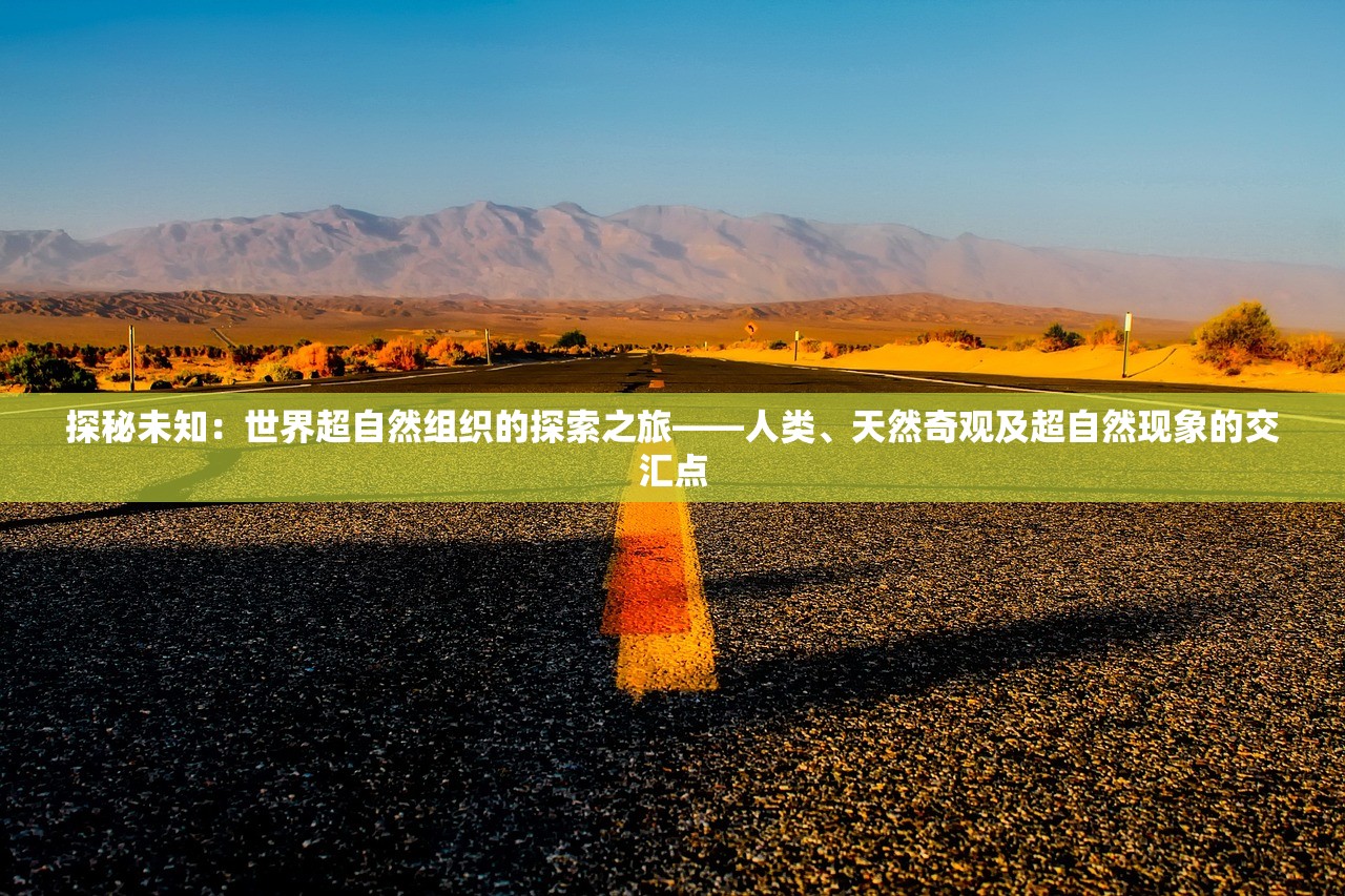 新奥门彩历史记录查询表图片|探索生活中的智慧与灵感_水晶制.1.445