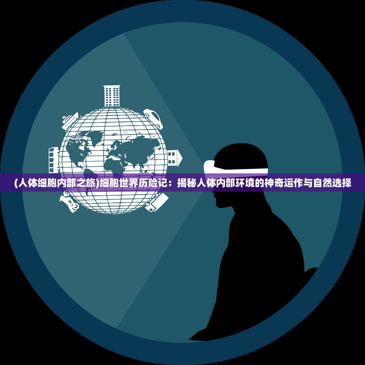 香港王中王资料大全枓大生肖岁数|最新分析解释落实_PT.6.96