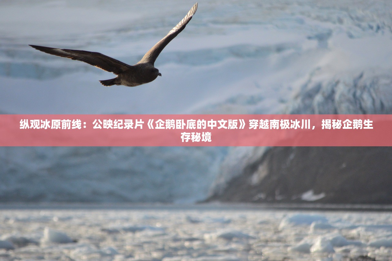 (灾变前夕)探讨灾变前夜：情境设定与可能发生的灾难成本计算