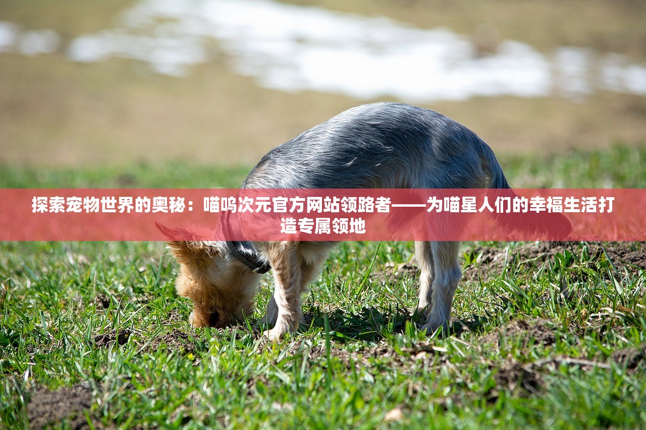 2023澳门特马今晚开奖结果|探索新趋势掌握未来资讯_限定版.4.463