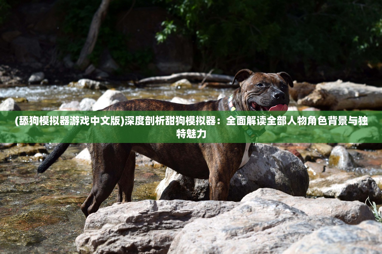 (舔狗模拟器游戏中文版)深度剖析甜狗模拟器：全面解读全部人物角色背景与独特魅力