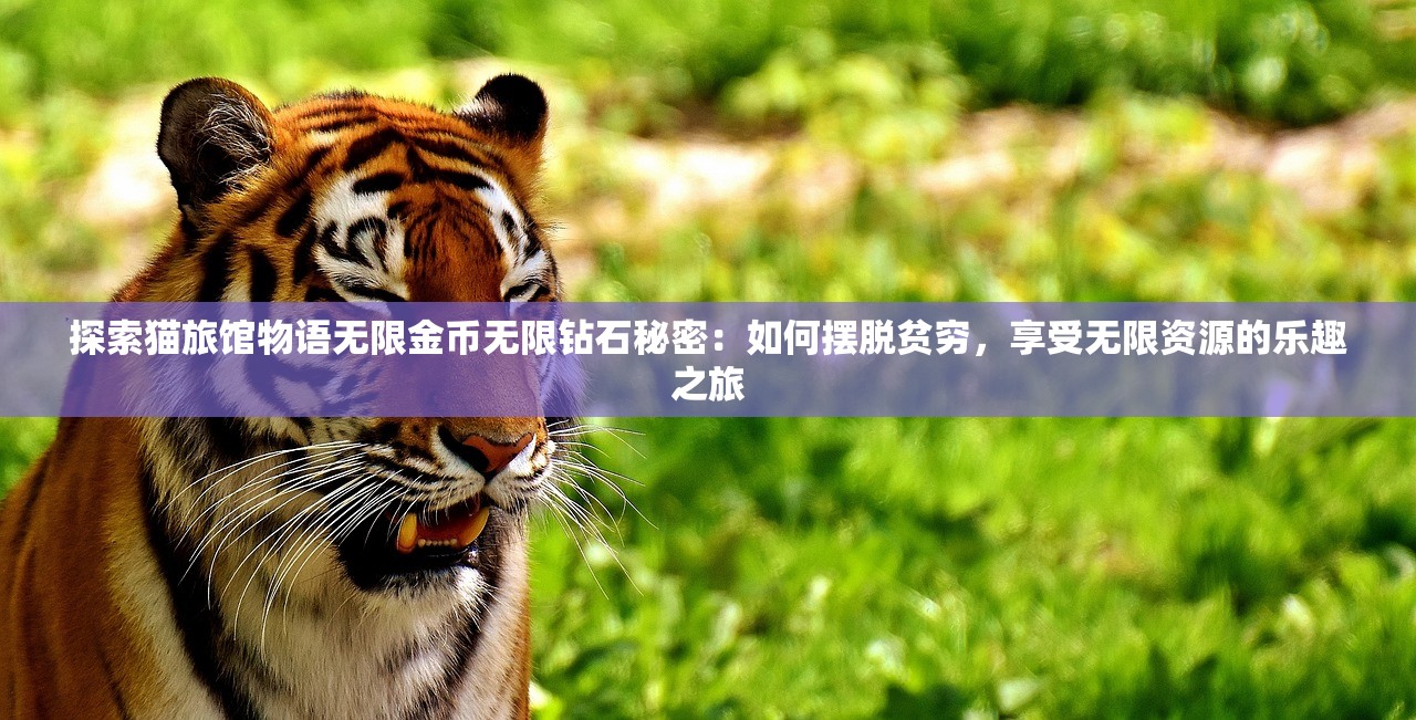全国多地爆发诺如病毒|经典理论的有效解读与应用_VIP6.527