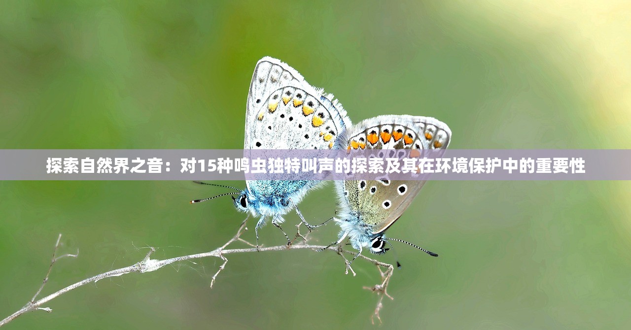 (绘唐梦卷下载)梦唐绘卷攀星阁，探寻最高点