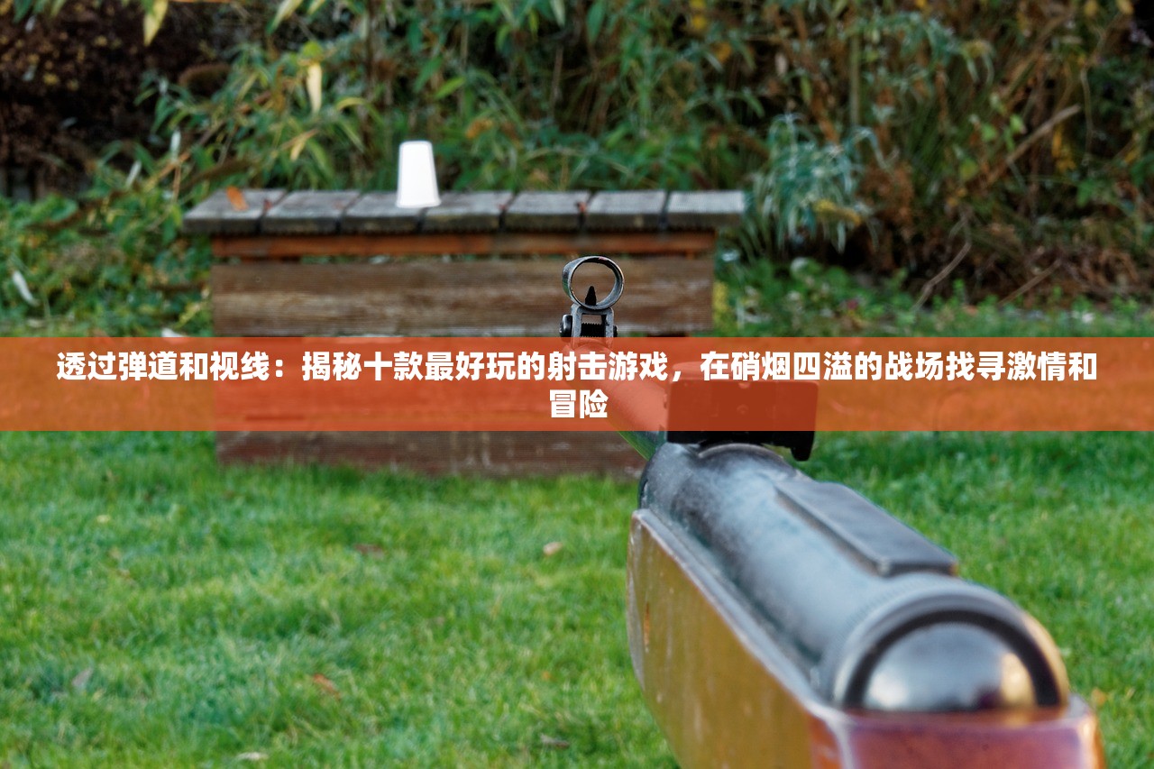 透过弹道和视线：揭秘十款最好玩的射击游戏，在硝烟四溢的战场找寻激情和冒险