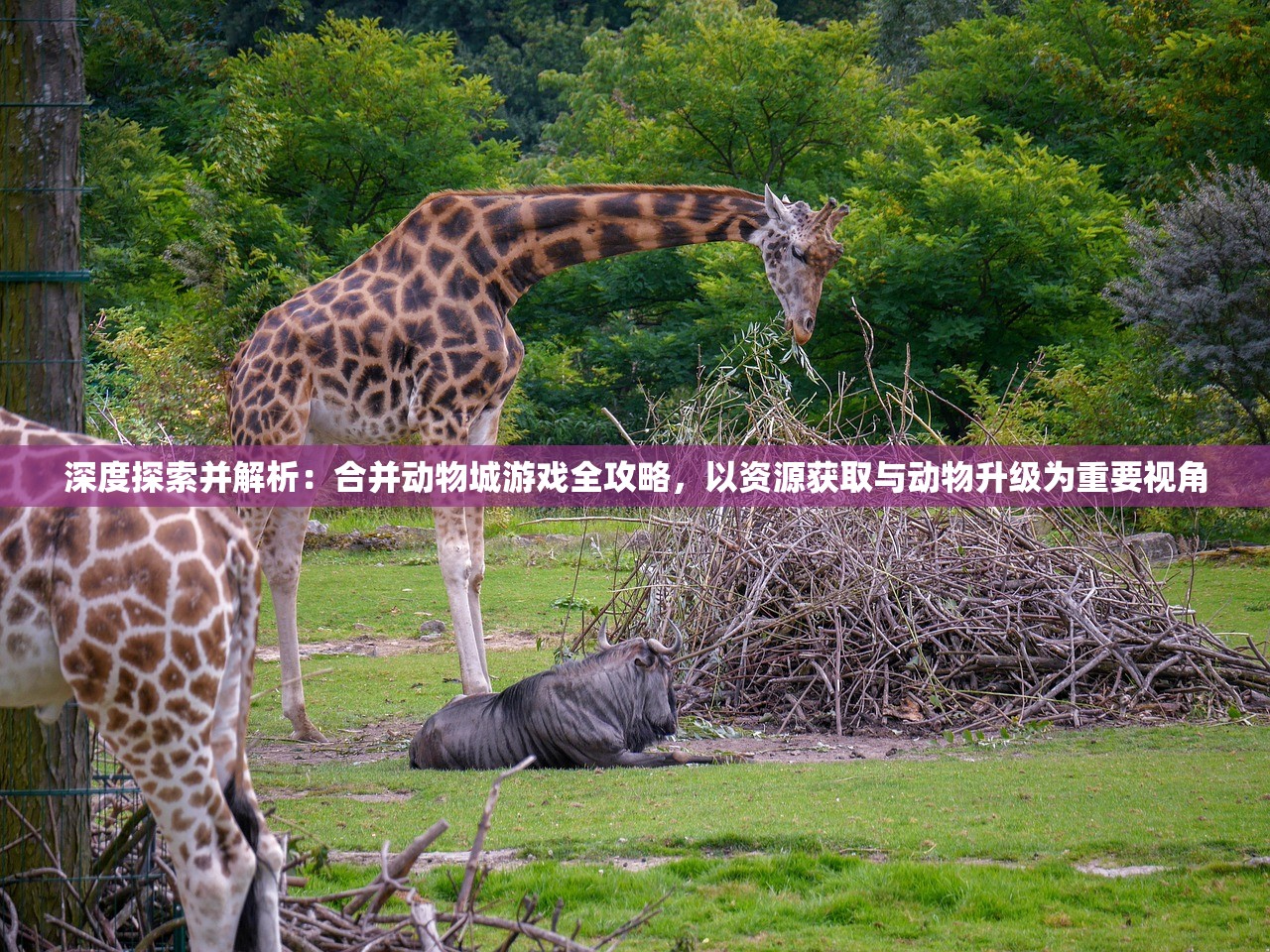 详解甜蜜时空游戏中雪屋装饰全攻略：技巧、素材获取以及独特装饰揭秘