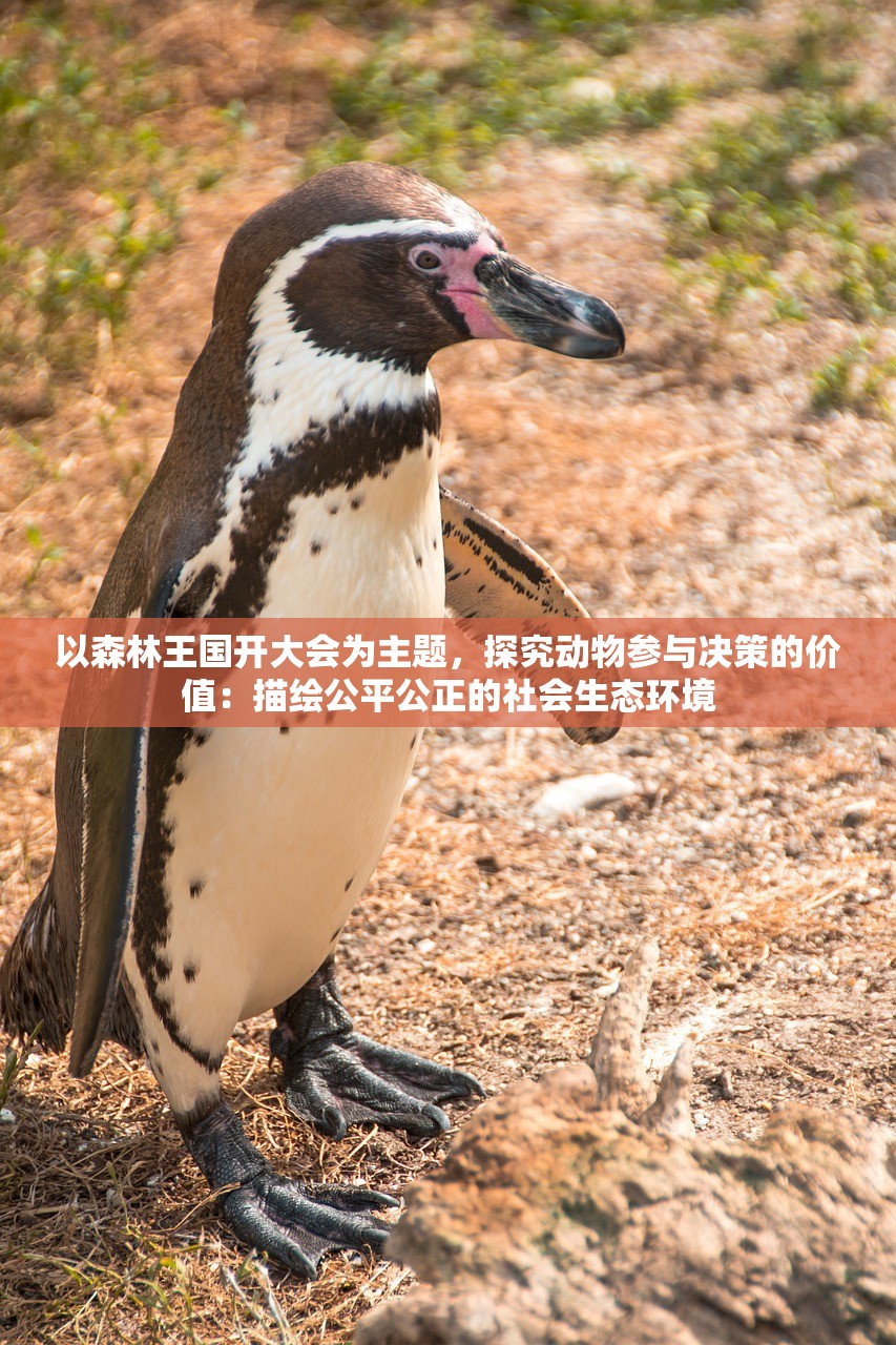 新奥彩内部资料查询|保障成语理解的准确性_典藏款.5.712