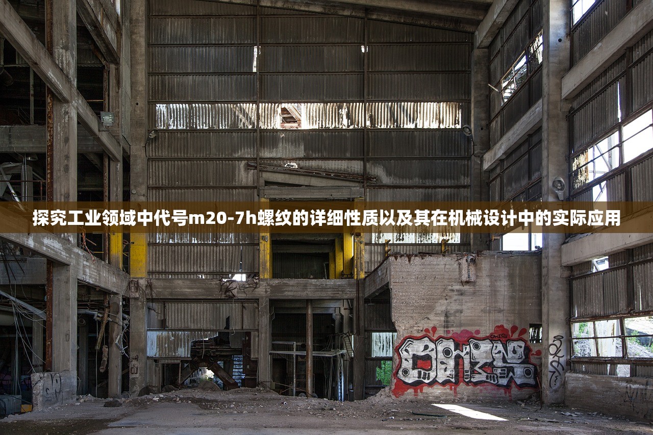 2024新澳门今晚开奖结果出来|探索新机遇的未来之路_便民版.5.977
