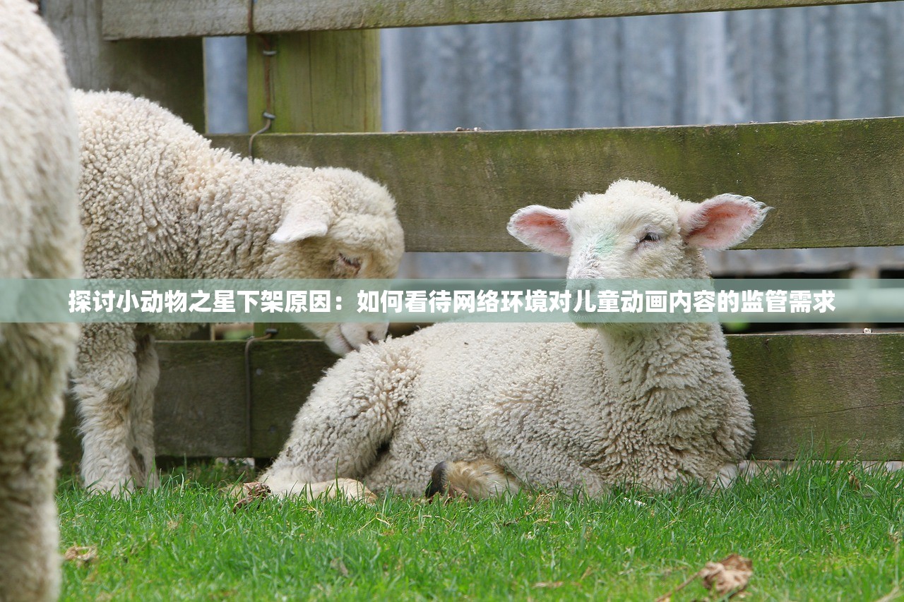 2024新澳门今晚开奖结果出来|探索新机遇的未来之路_便民版.5.977