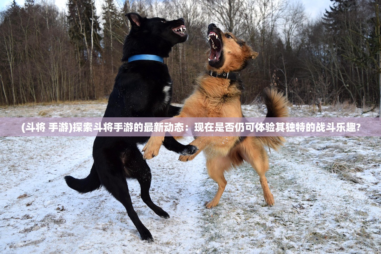 (下载老版无尽之剑1)无尽之剑安卓版下载指南及常见问题解答