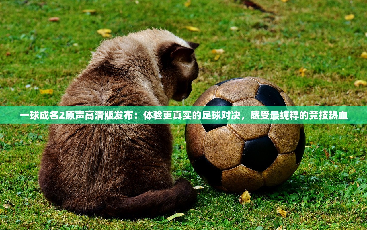 (宝石迷阵2下载)宝石迷阵2，深入解析与常见问答解析