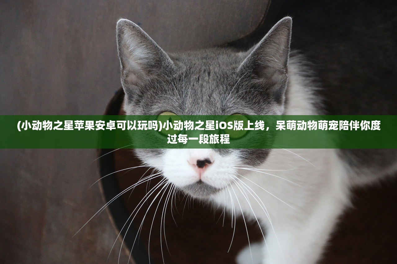 (小动物之星苹果安卓可以玩吗)小动物之星iOS版上线，呆萌动物萌宠陪伴你度过每一段旅程