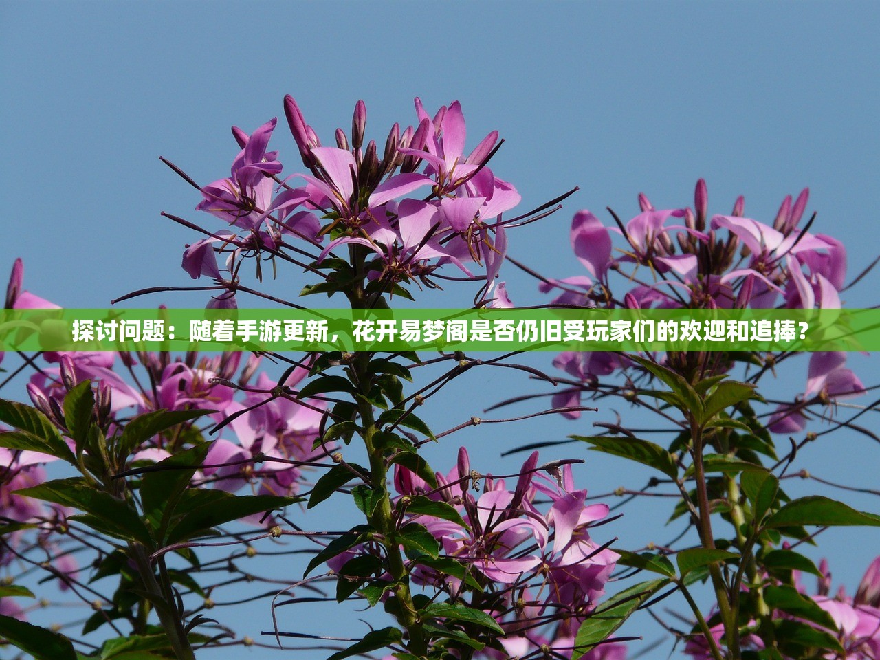 62827cσm澳彩资料查询优势头数|实践验证解释落实_完美款.1.876