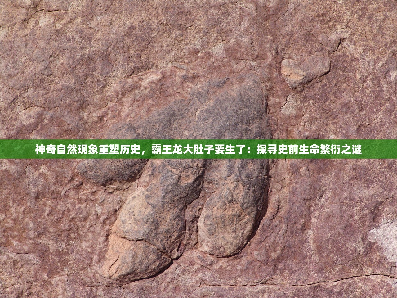 (绝晓手游下载)绝晓手游，探索未知的奇幻世界