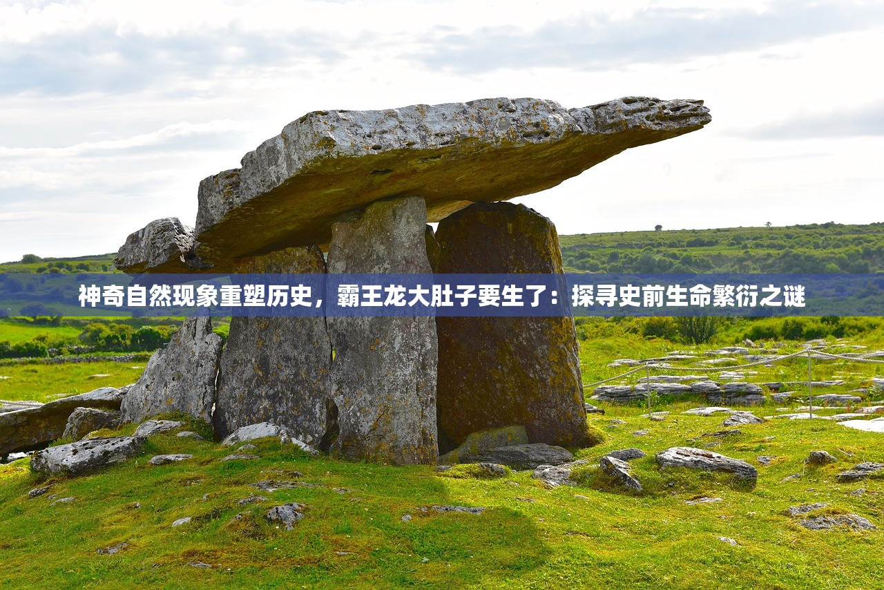 澳门内部资料和公开资料|探索新趋势掌握未来资讯_FHD款.9.609