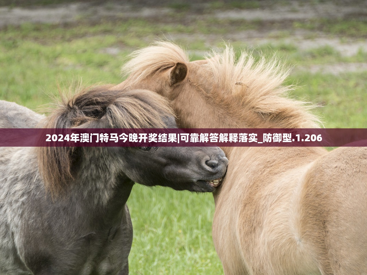 2024年澳门特马今晚开奖结果|可靠解答解释落实_防御型.1.206