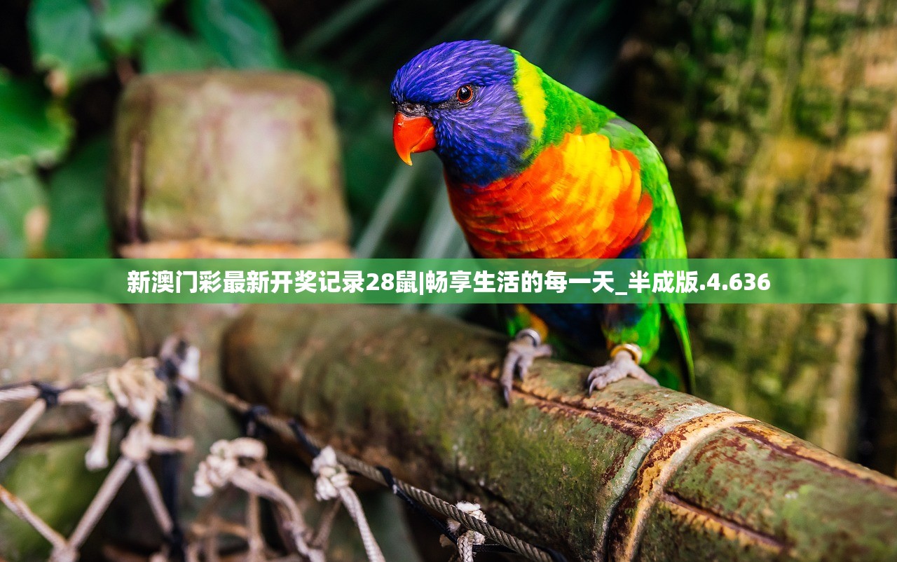江左梅郎48724CC|实践解答解释落实_精简版Meituan.1.826