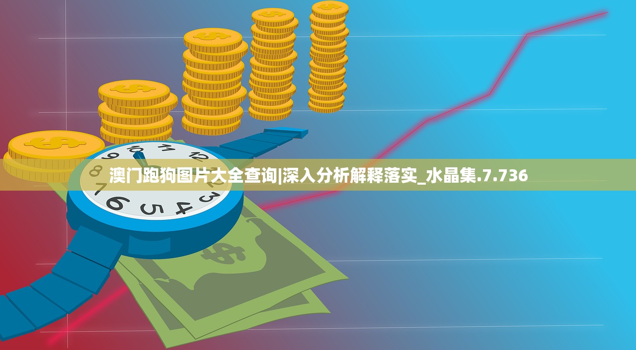澳门跑狗图片大全查询|深入分析解释落实_水晶集.7.736