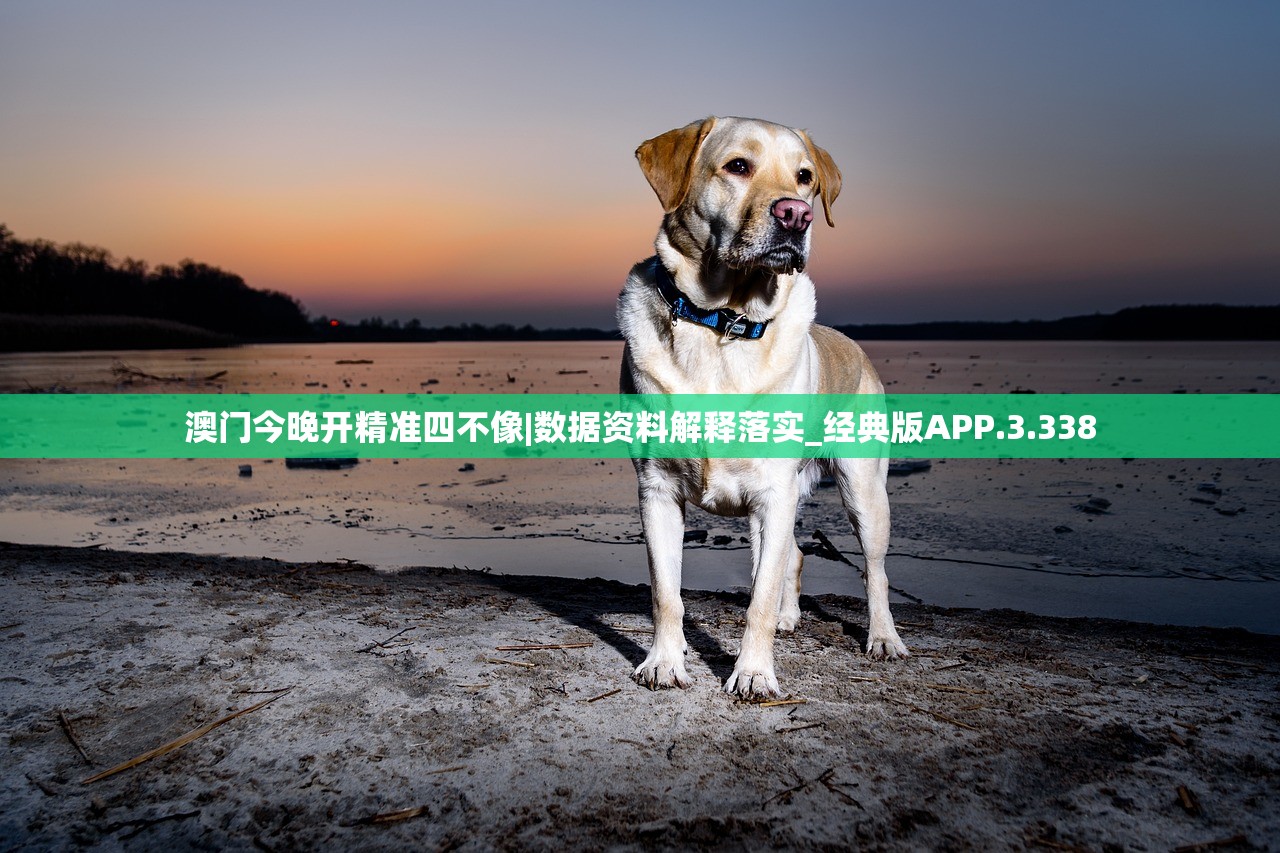 澳门今晚开精准四不像|数据资料解释落实_经典版APP.3.338