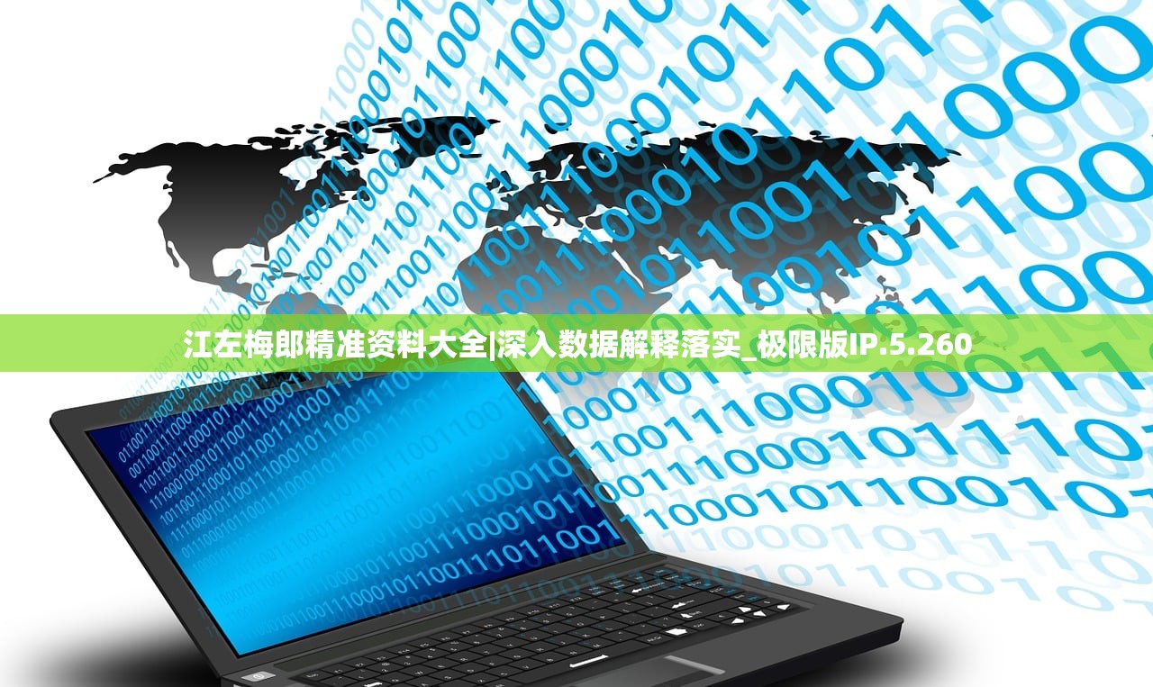 江左梅郎精准资料大全|深入数据解释落实_极限版IP.5.260