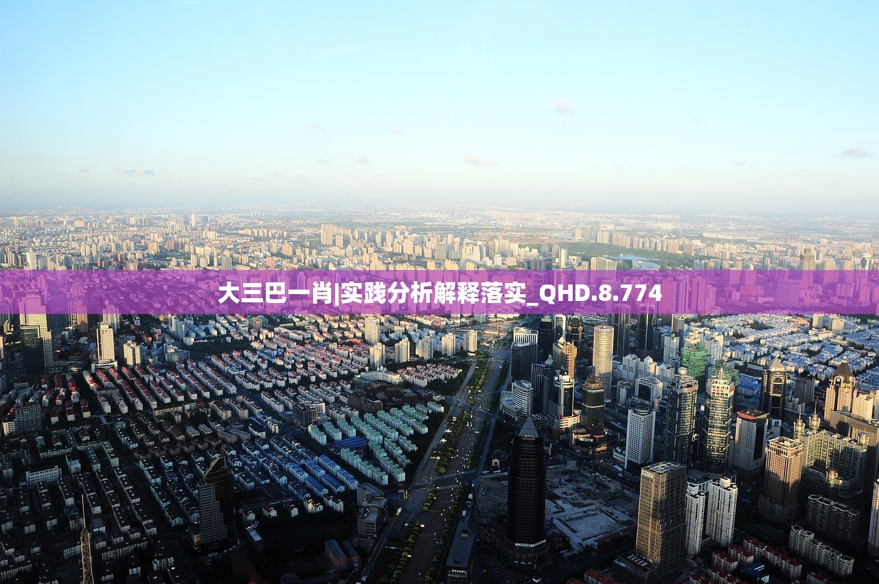大三巴一肖|实践分析解释落实_QHD.8.774